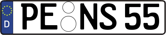 PE-NS55