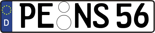 PE-NS56