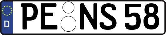 PE-NS58