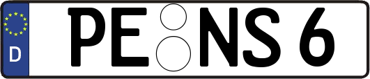 PE-NS6
