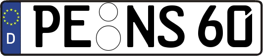 PE-NS60