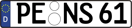 PE-NS61