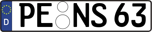 PE-NS63