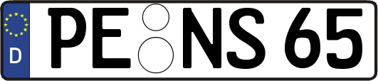 PE-NS65