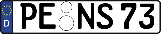 PE-NS73