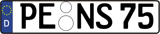 PE-NS75
