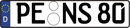 PE-NS80