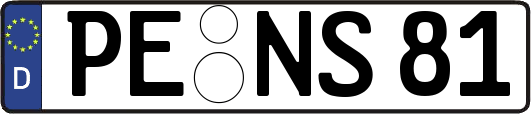 PE-NS81