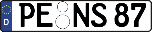 PE-NS87