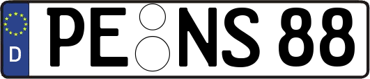 PE-NS88