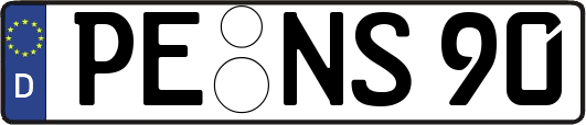 PE-NS90