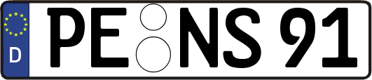 PE-NS91