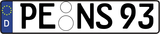 PE-NS93