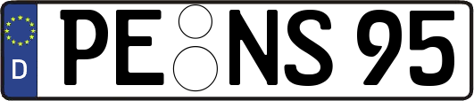 PE-NS95