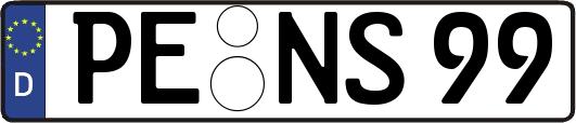 PE-NS99