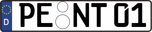 PE-NT01