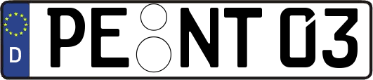 PE-NT03