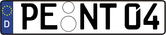 PE-NT04