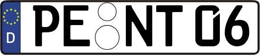 PE-NT06