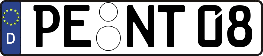 PE-NT08
