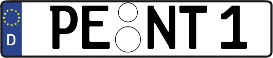 PE-NT1
