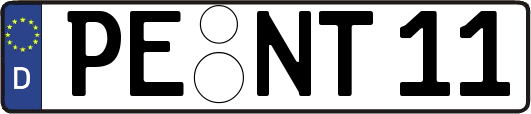 PE-NT11
