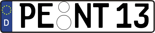 PE-NT13