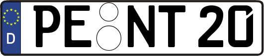 PE-NT20