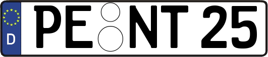 PE-NT25