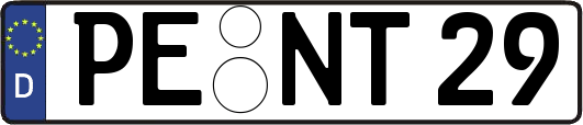 PE-NT29