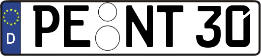 PE-NT30