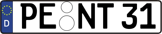 PE-NT31