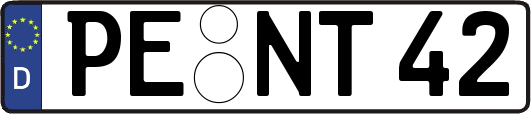 PE-NT42