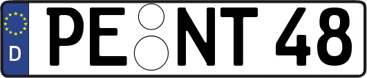 PE-NT48