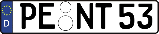 PE-NT53