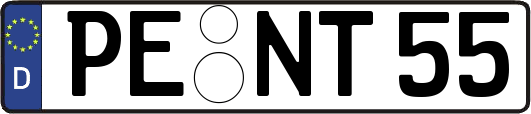 PE-NT55