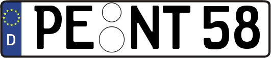 PE-NT58