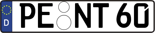 PE-NT60