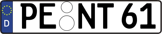 PE-NT61