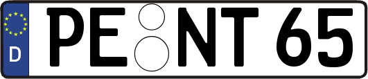 PE-NT65
