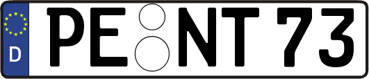 PE-NT73