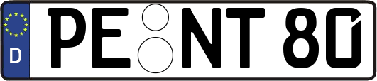PE-NT80