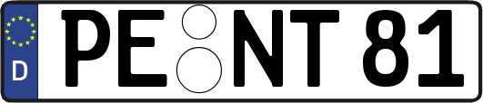 PE-NT81