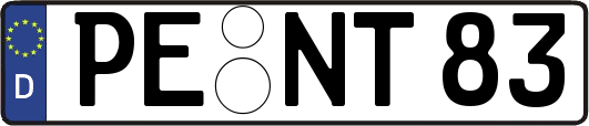 PE-NT83