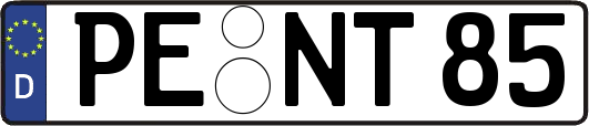 PE-NT85