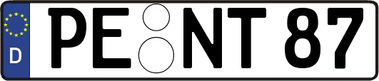 PE-NT87