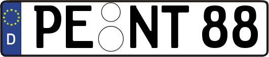 PE-NT88