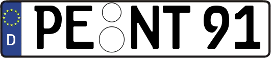 PE-NT91