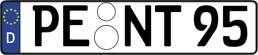 PE-NT95