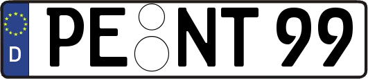 PE-NT99